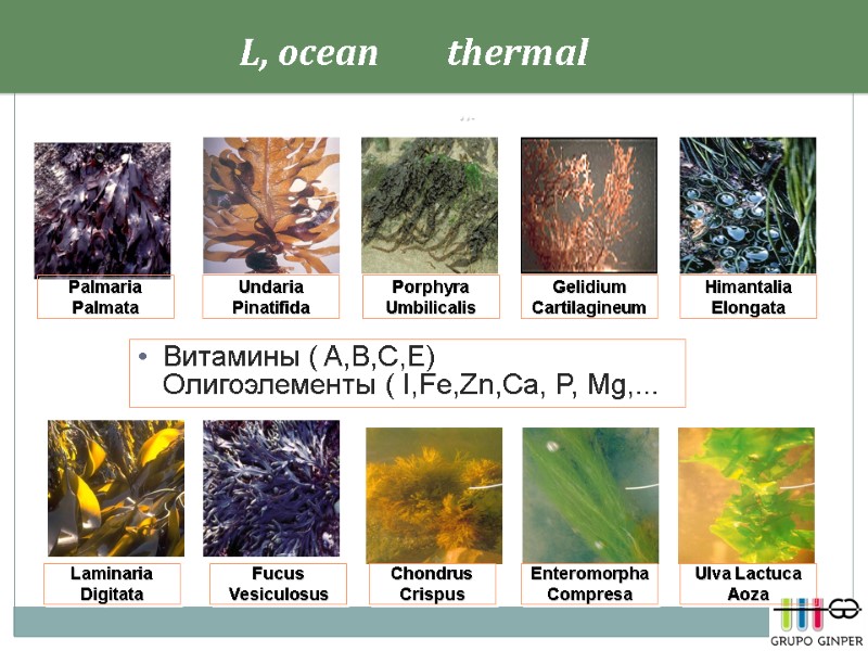 L, ocean        thermal    